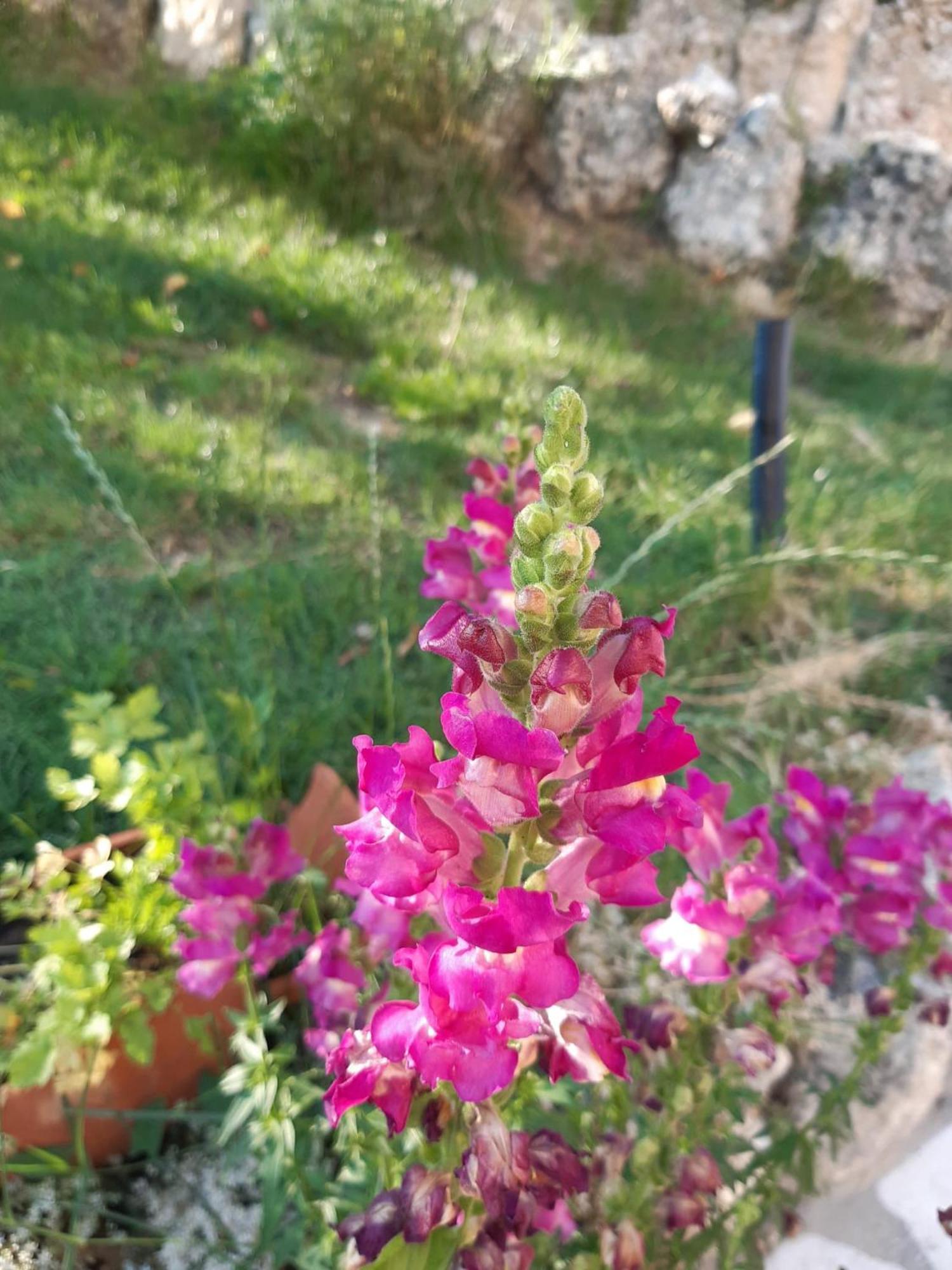 Il Girasole Bed & Breakfast Castelvecchio Calvisio Exterior photo