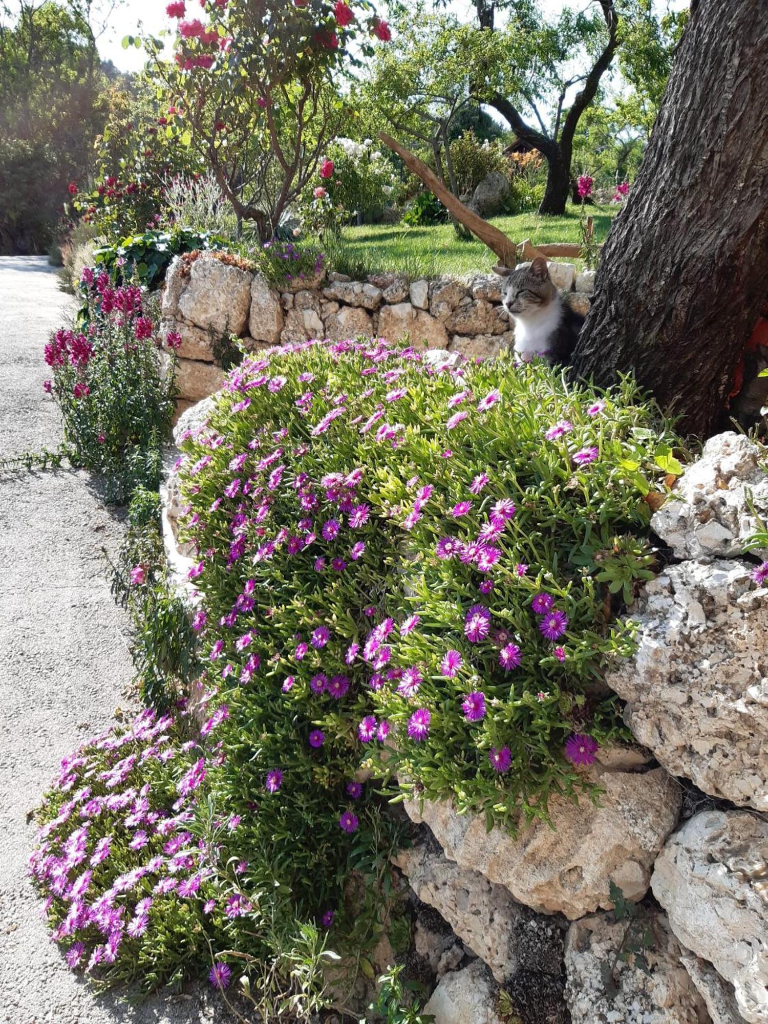 Il Girasole Bed & Breakfast Castelvecchio Calvisio Exterior photo